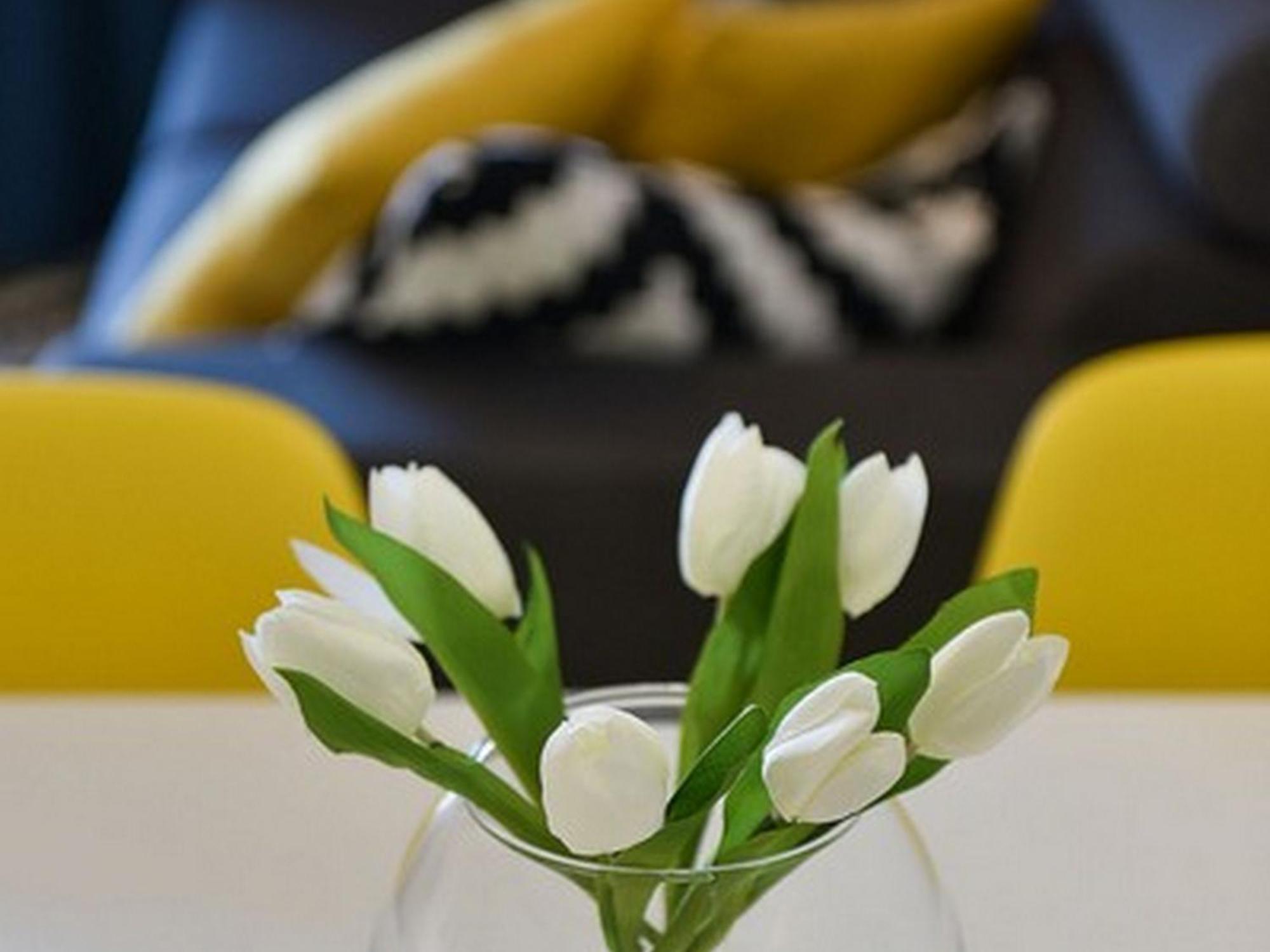 Mediterraneo Garden Apartments Petrčane Habitación foto